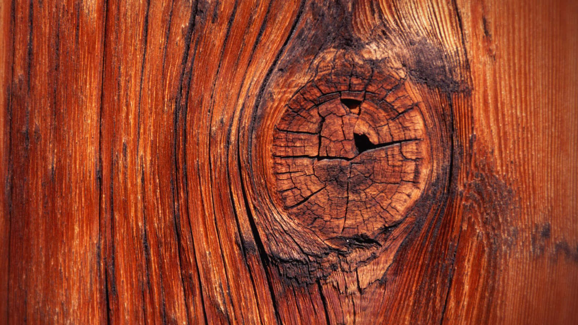 Stunning Details of Wood Grain