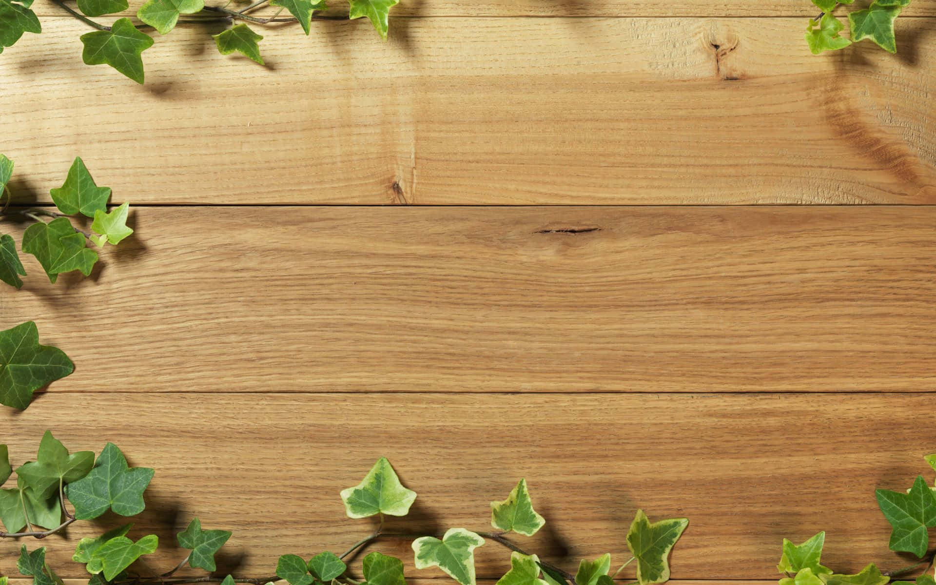 Wood Planks With Boston Ivy Leaves Wooden Background Wallpaper