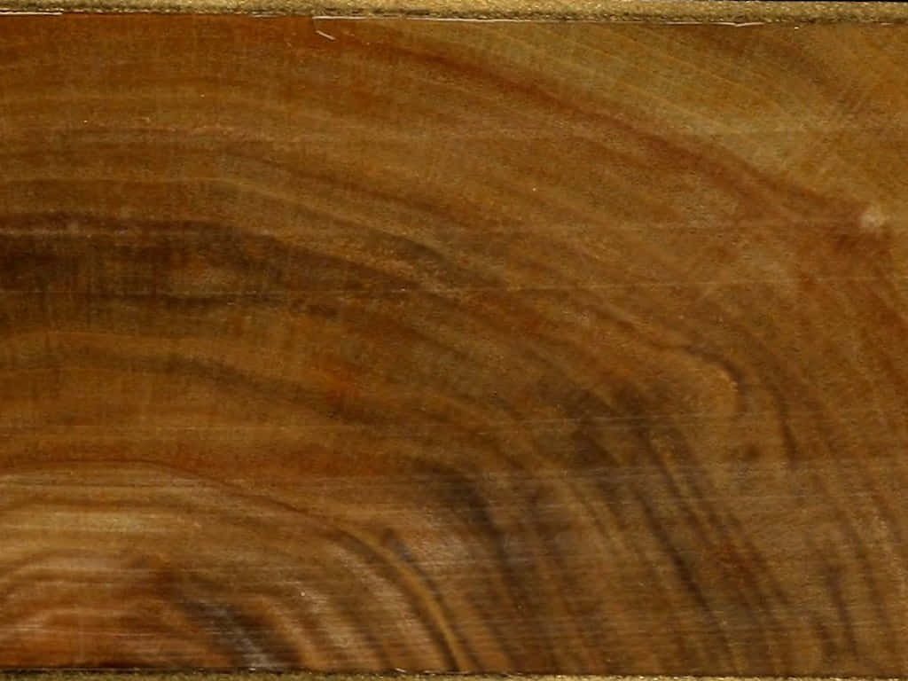 Wood With Copious Ring Details Wallpaper