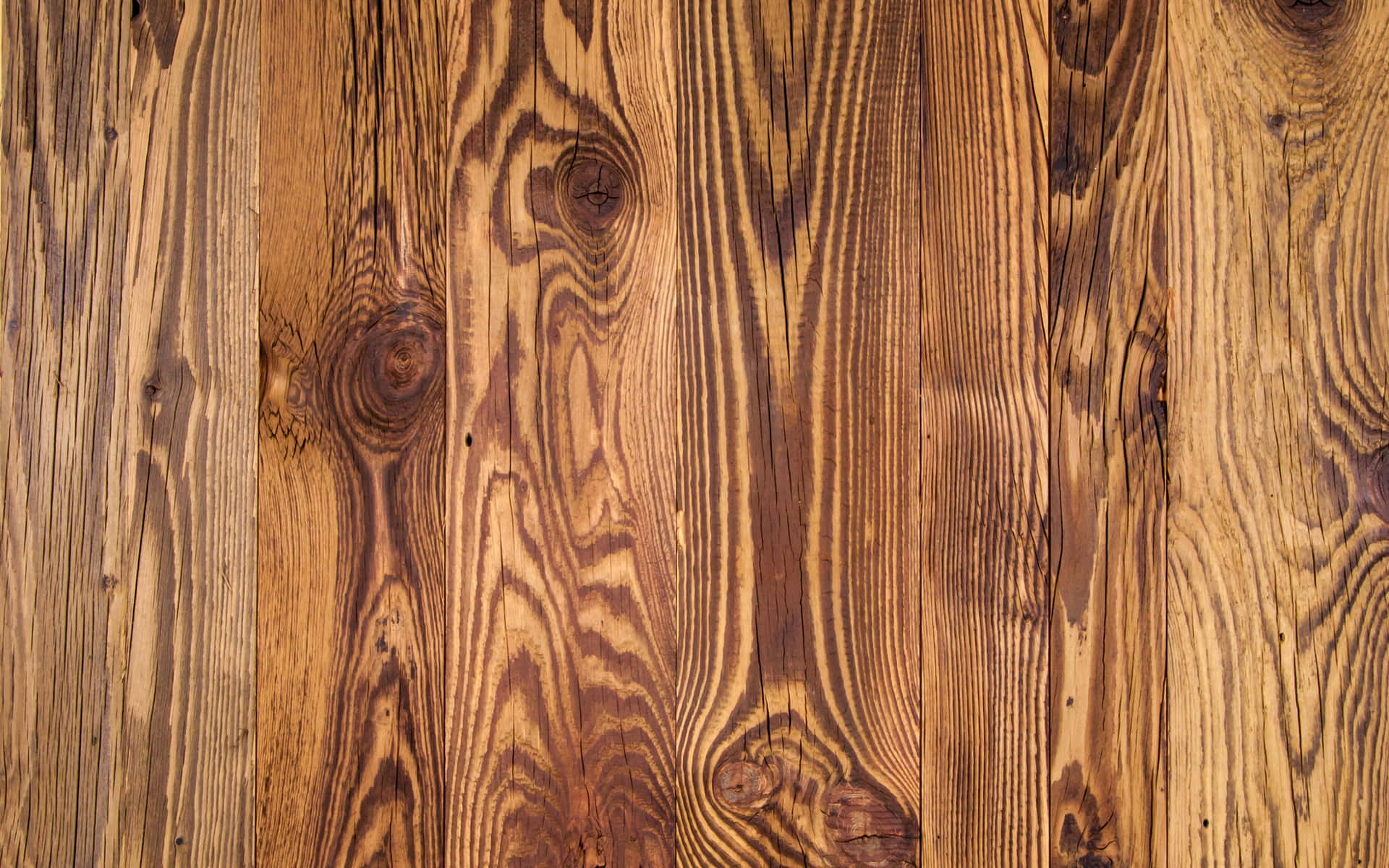 Shiny Floorboards Wooden Background Texture