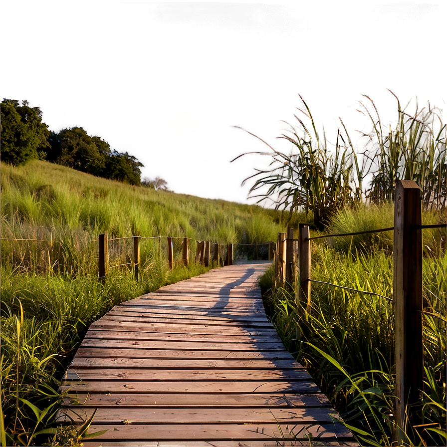 Wooden Boardwalk Path Png Noc22 PNG