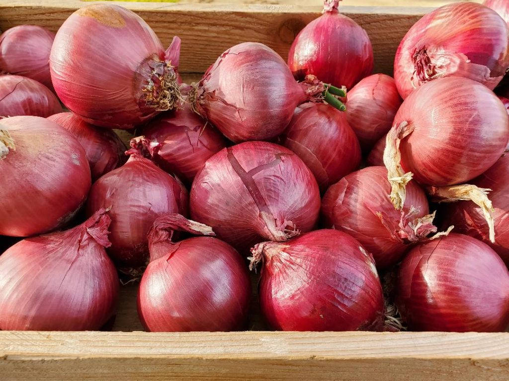 Wooden Box Filled With Red Onions Wallpaper