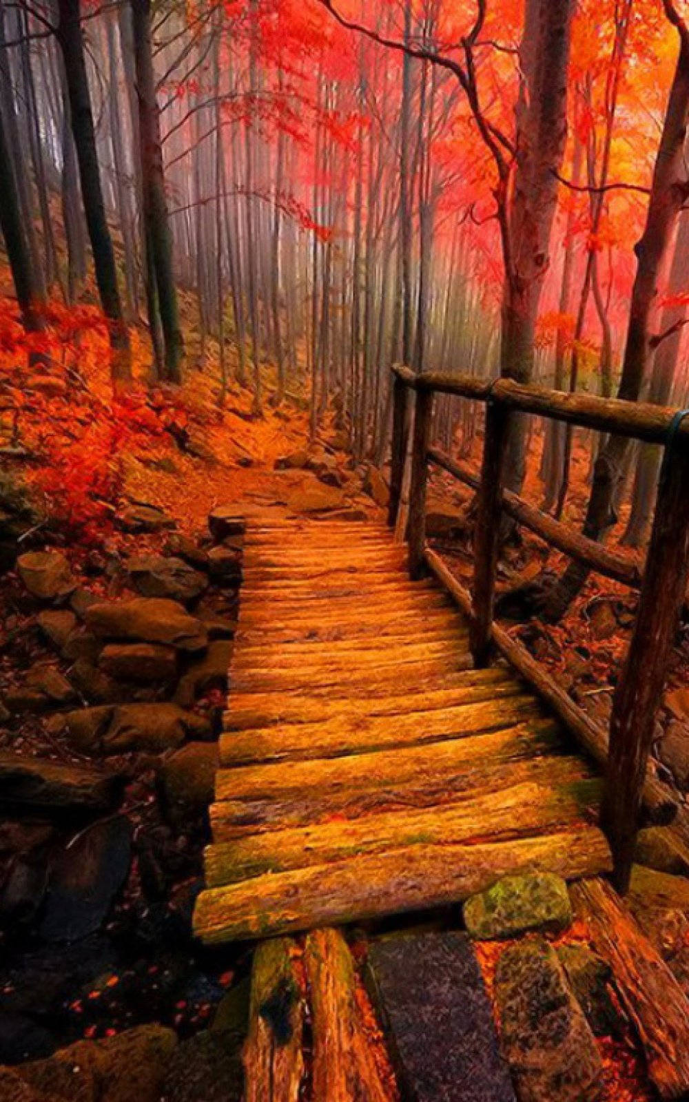 Wooden Bridge In Autumn Phone