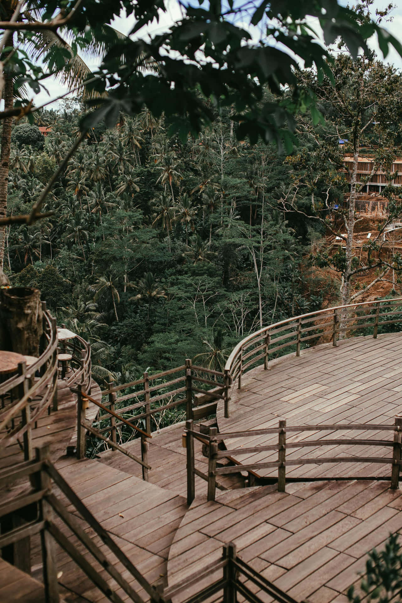 Terrasse En Bois Surplombant La Forêt Tropicale Fond d'écran