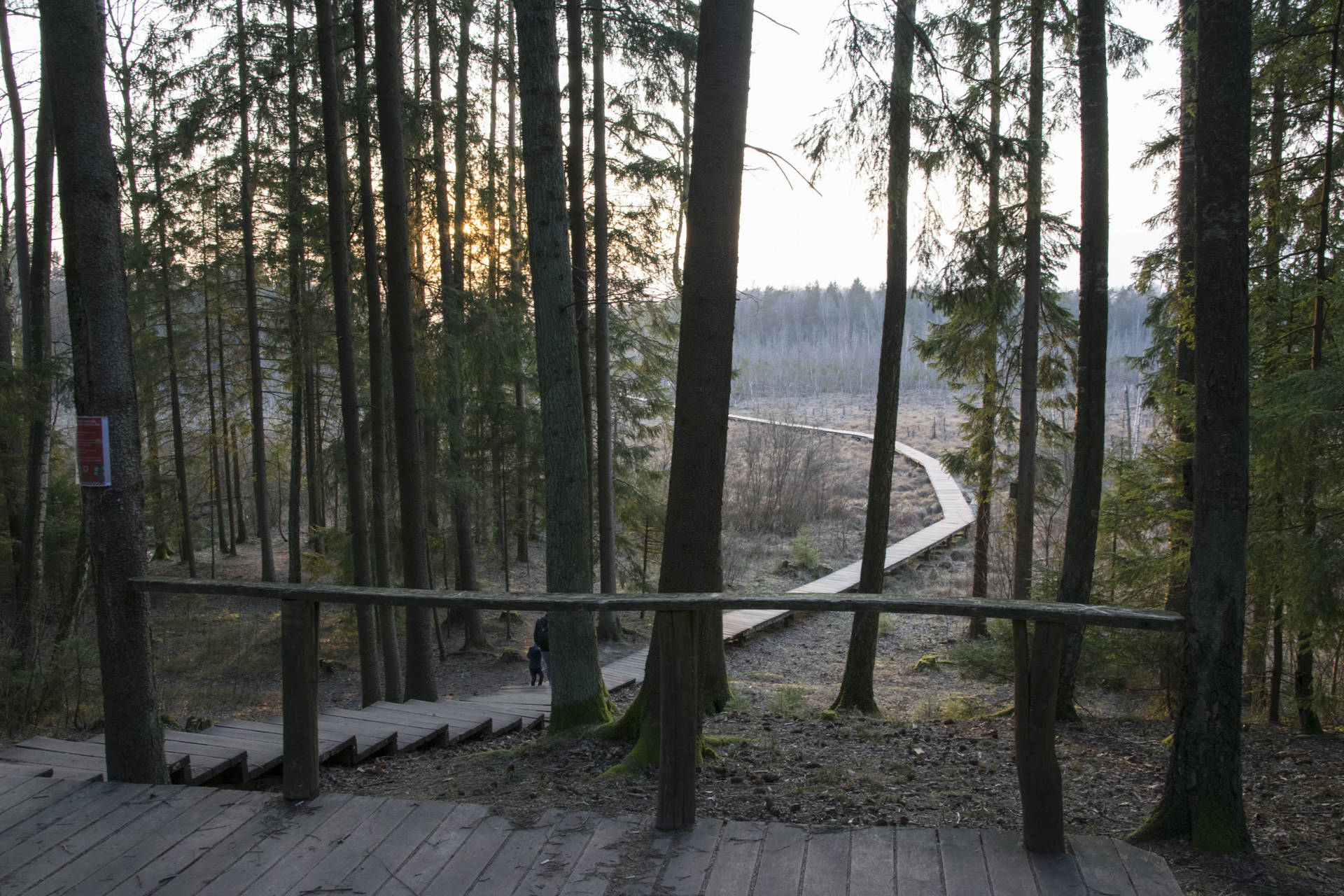 Wooden Hiking Trail In Lithuania