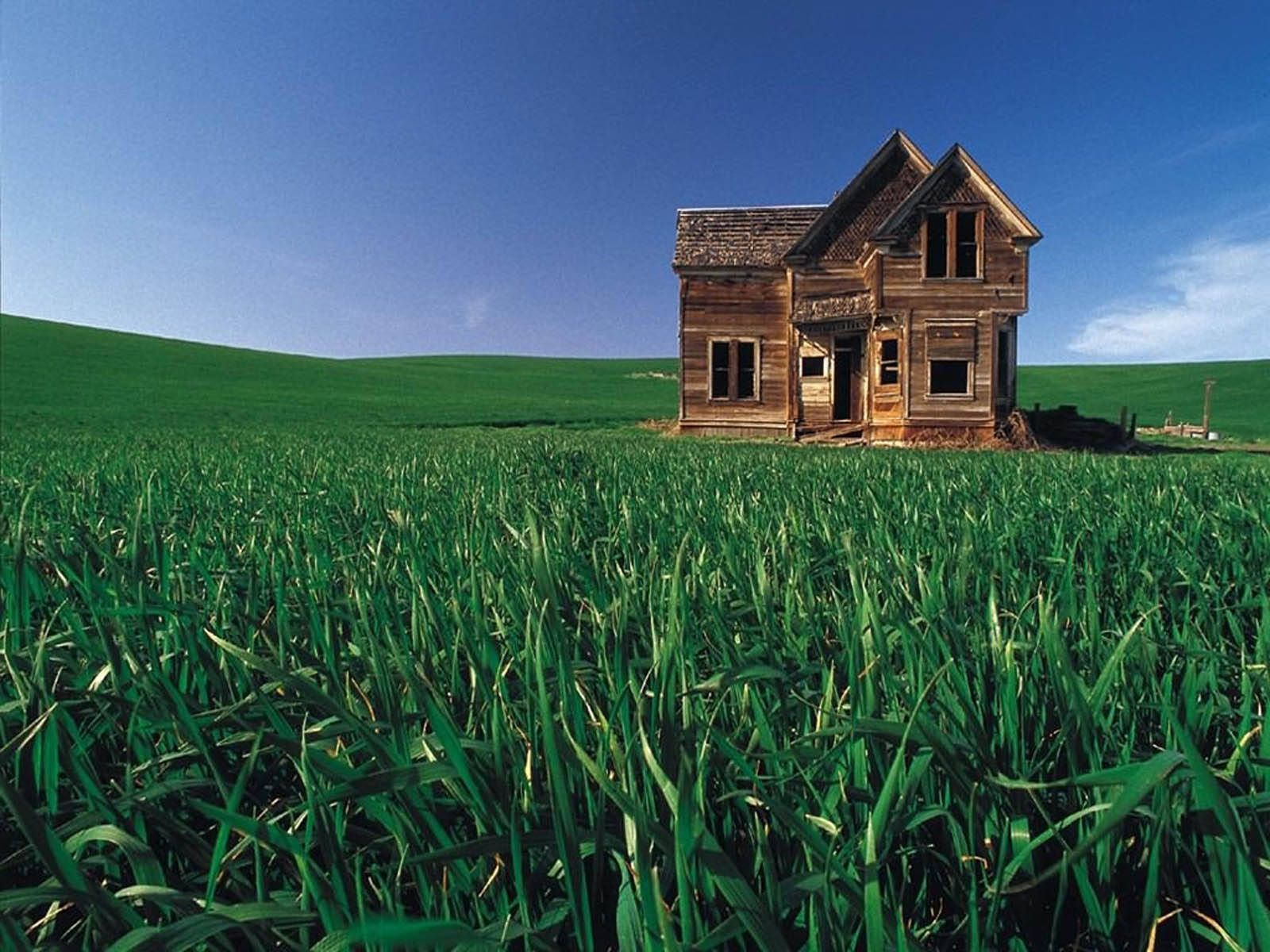 Casa Di Legno Sulla Terra Dell'erba Verde Sfondo