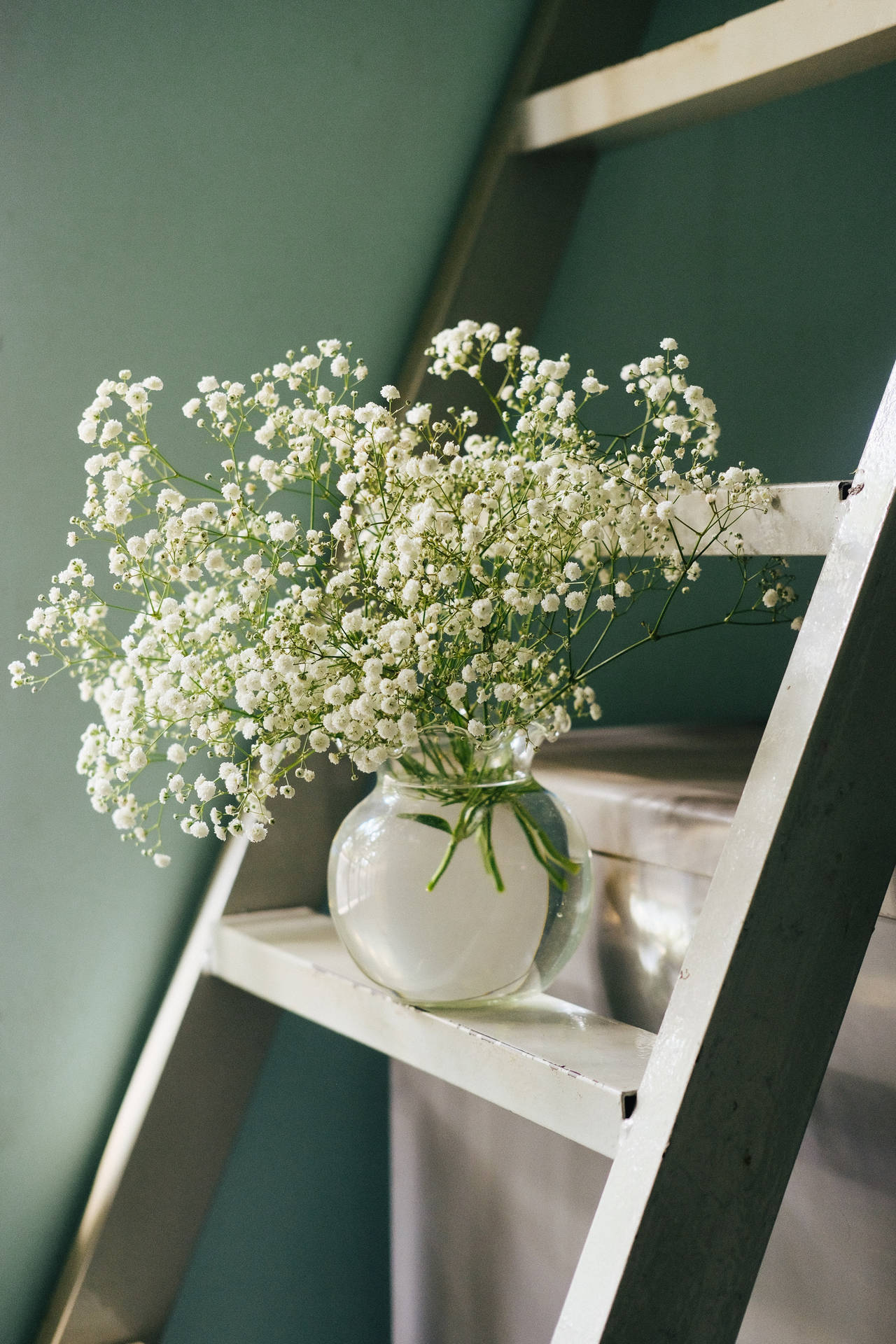Escalerade Madera Flores Blancas Estética Fondo de pantalla