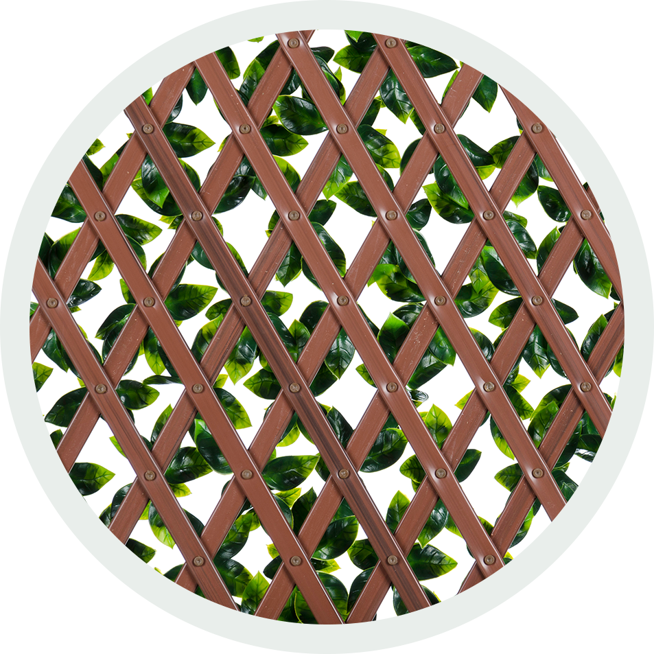 Wooden Latticewith Green Leaves PNG