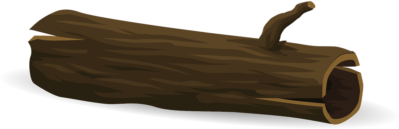 Wooden Log Illustration PNG
