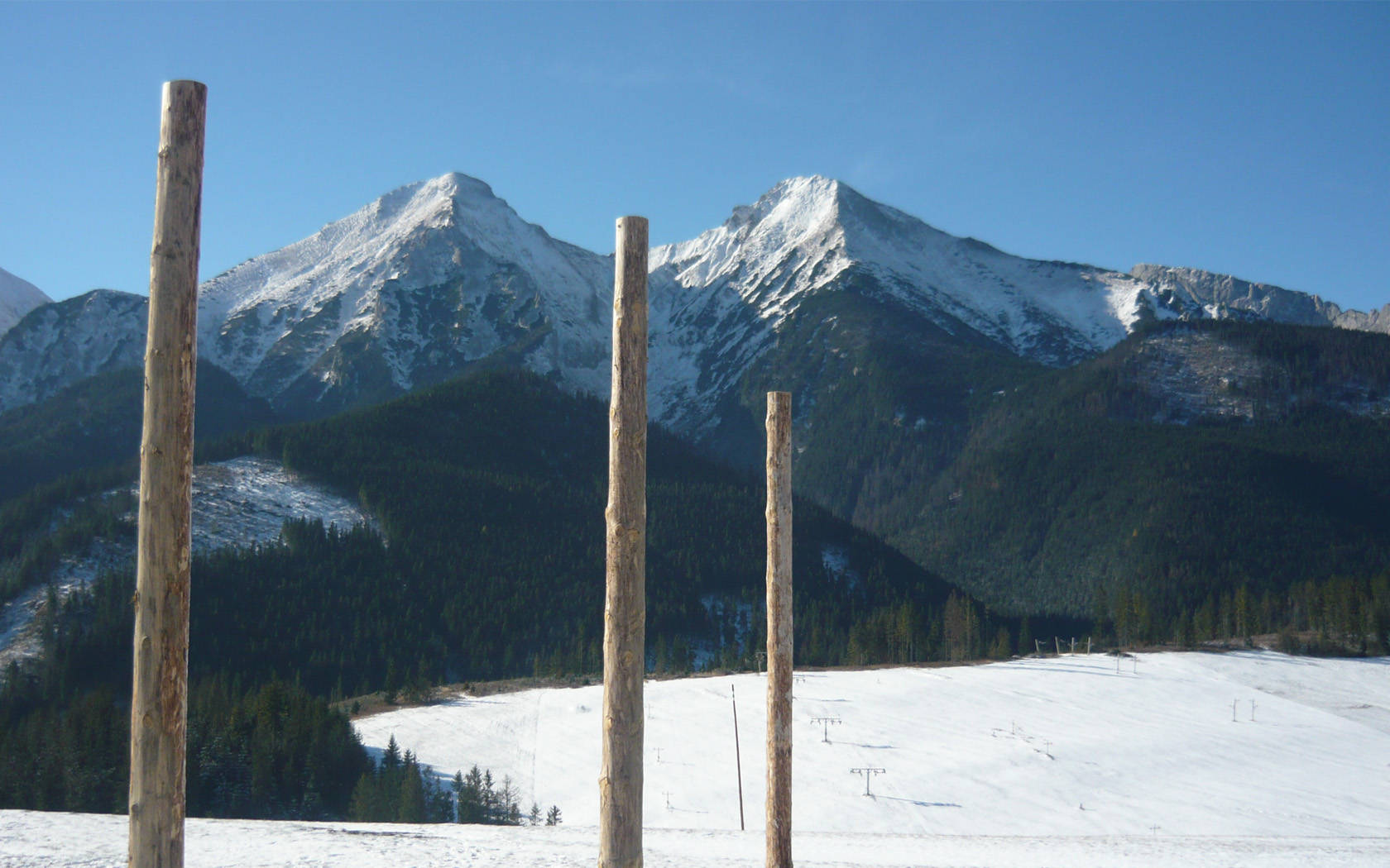 Wooden Poles In Slovakia Land