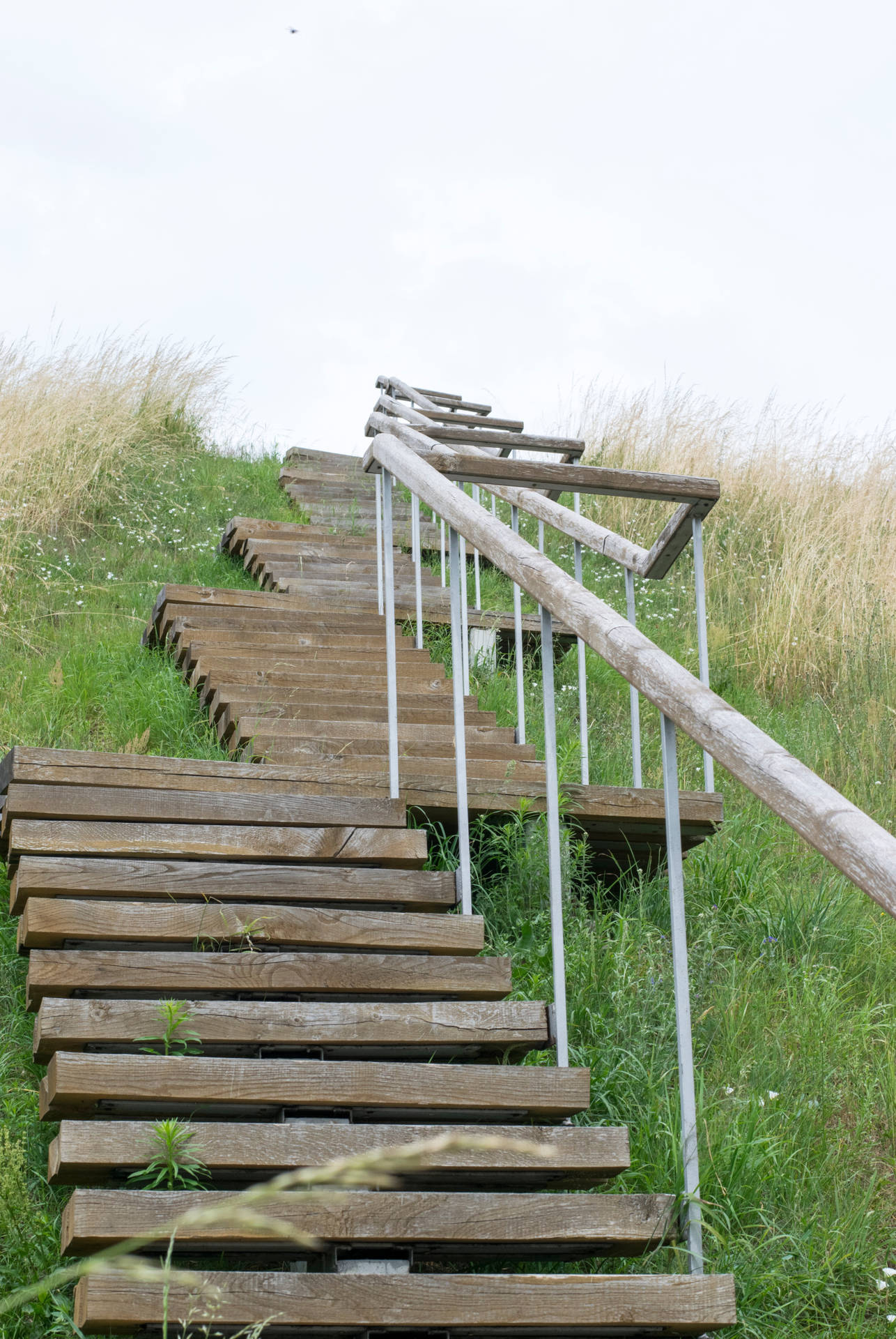 Wooden Staircase Surrounded By Grass In Lithuania