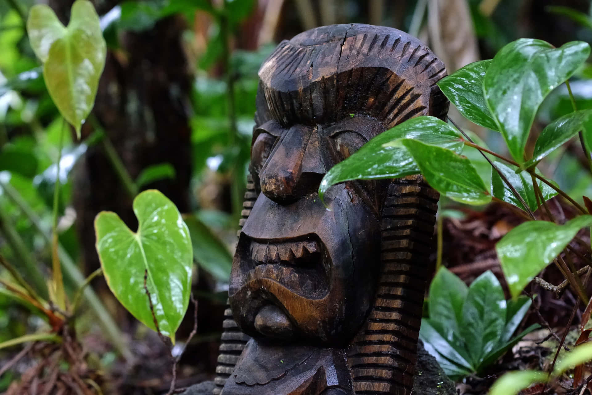 Wooden Tiki Statuein Jungle Wallpaper