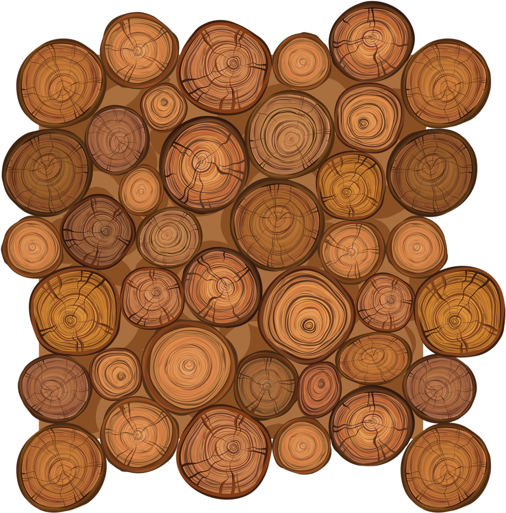 Wooden_ Log_ Cross_ Section_ Texture_ Pattern PNG