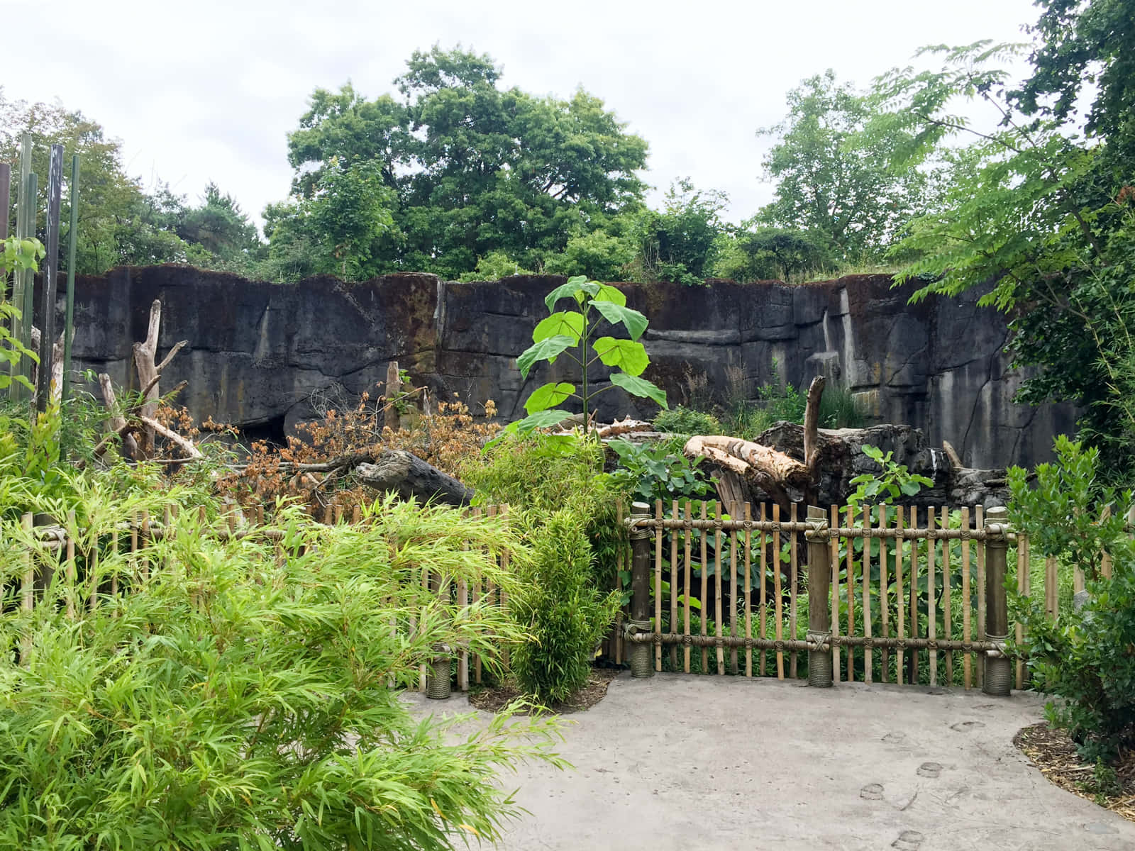 Woodland Park Zoo Exhibit Entrance Wallpaper