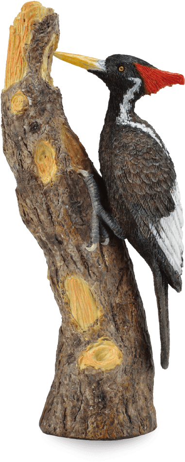 Woodpecker On Tree Trunk PNG