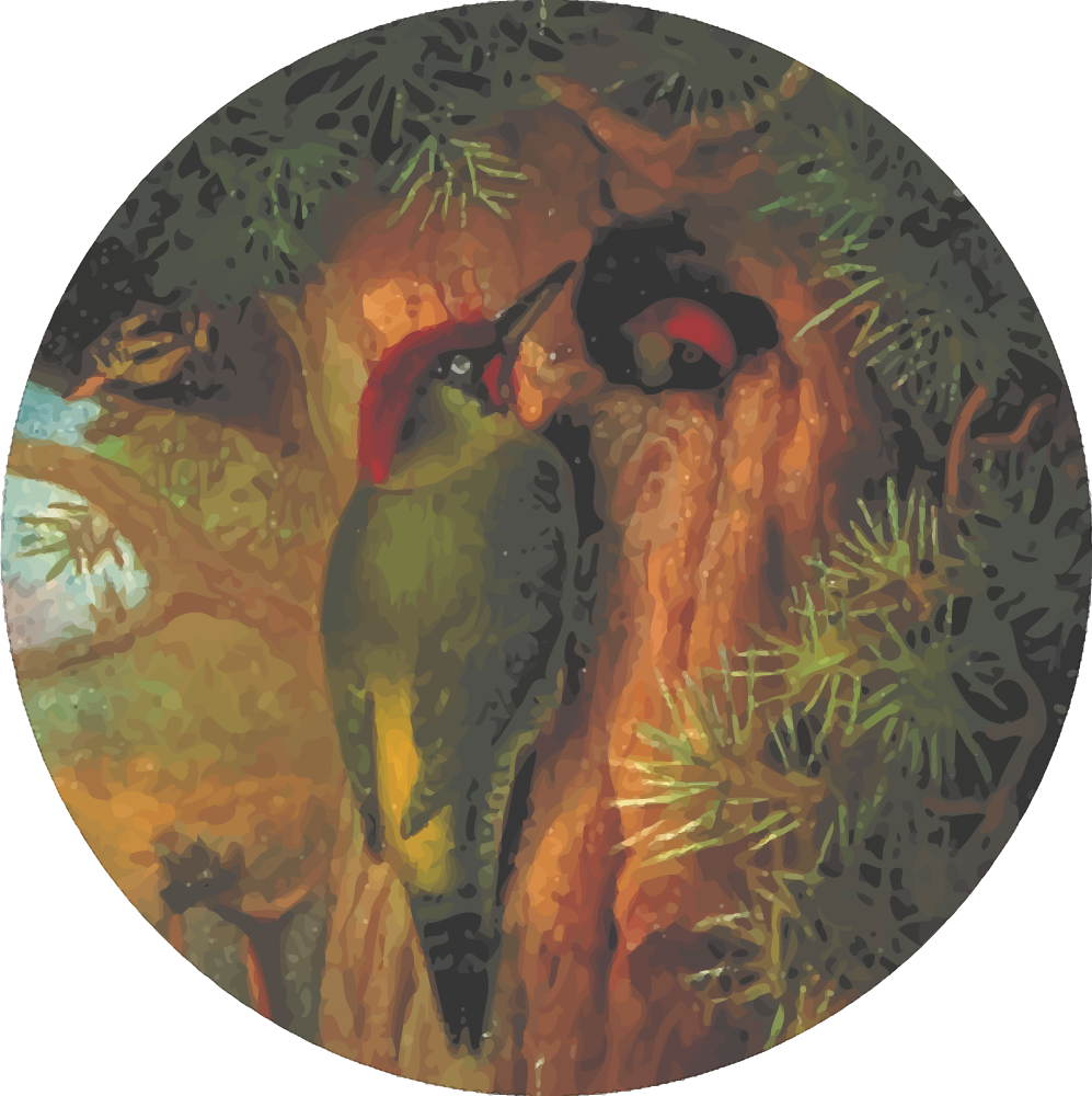 Woodpeckerin Nature Artistic Render PNG
