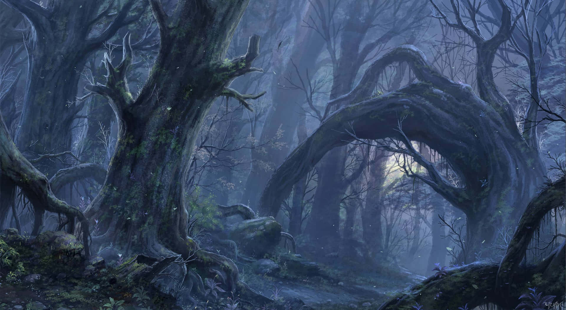 Misty woods create a magical scene