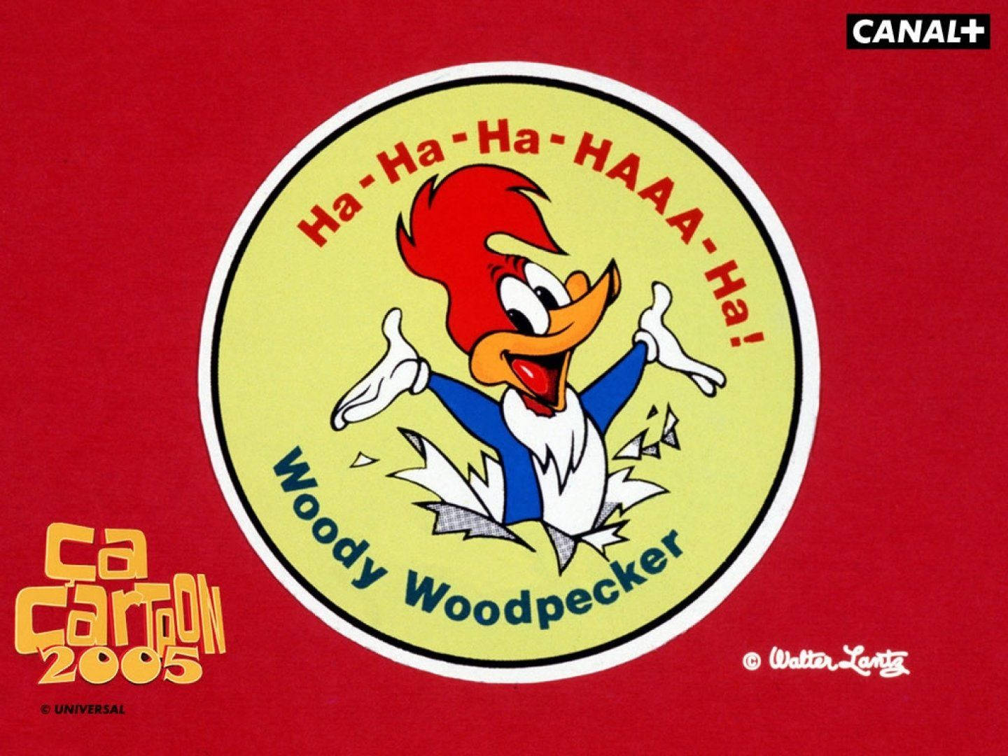 Woody Woodpecker laughing up a storm Wallpaper