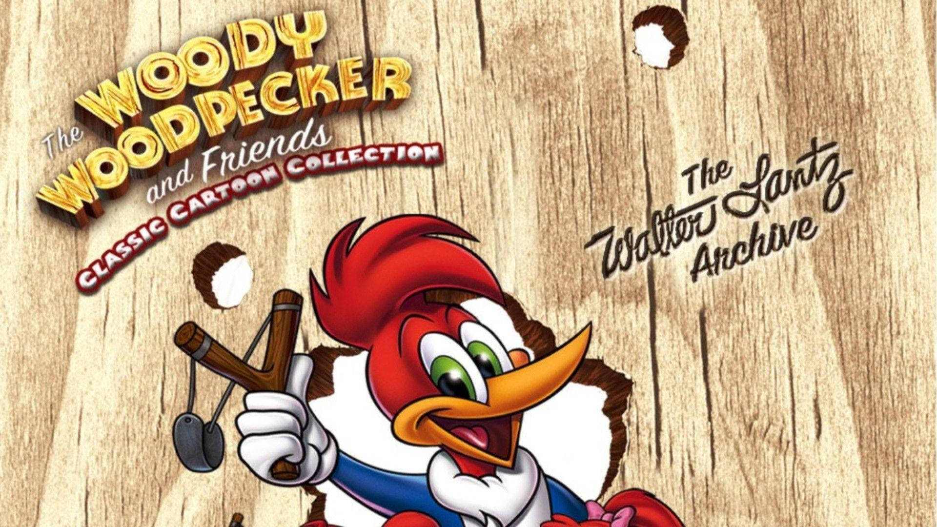 Woody Woodpecker Gets Into Mischief Wallpaper