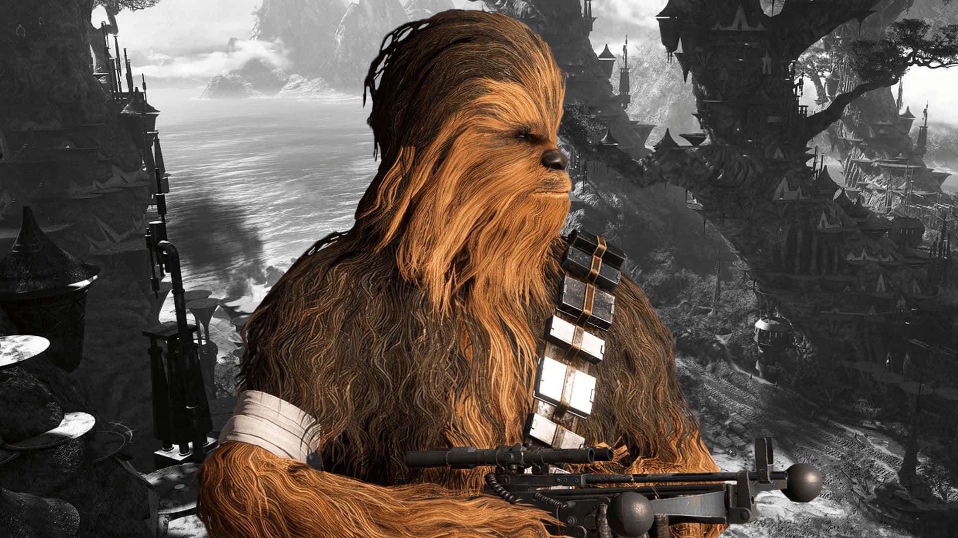 Wookiee, Lovable and Loyal Wallpaper