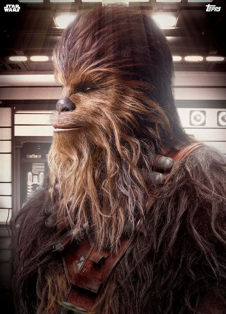 A Wookiee Doing What They Do Best Wallpaper