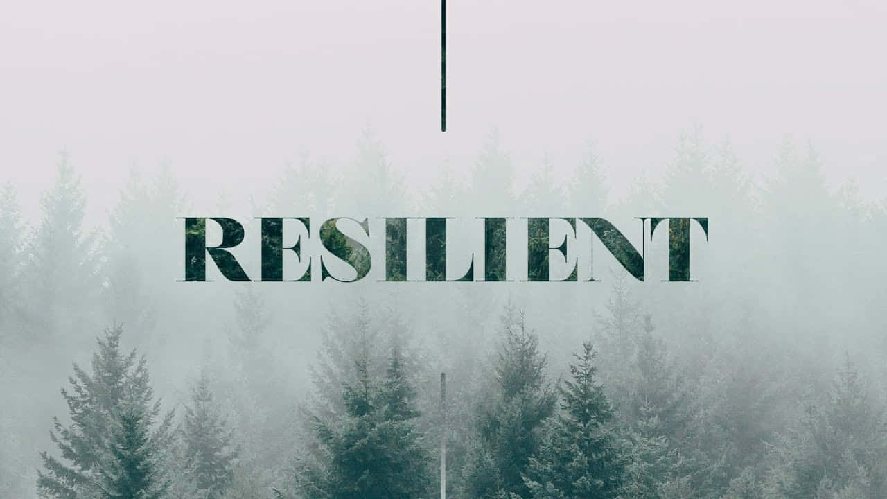 Word Resilient Against A Foggy Sky Wallpaper