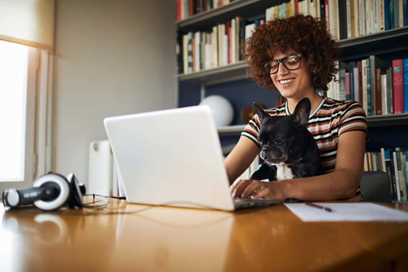 Kvinnaarbetar På En Bärbar Dator Med Hund