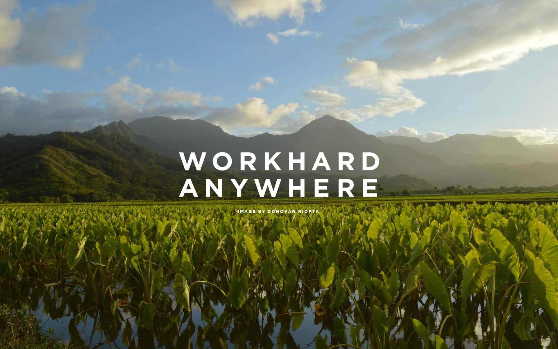 Workhard Anywhere - Hawaii Wallpaper