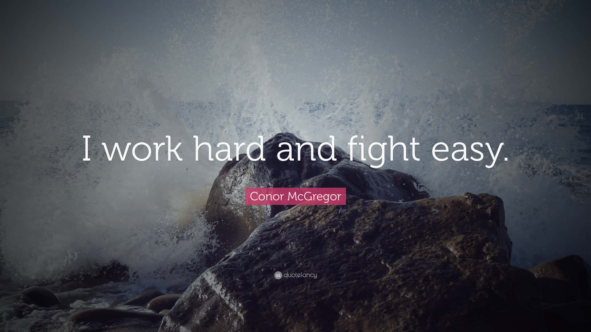 I Work Hard And Fight Easy Wallpaper