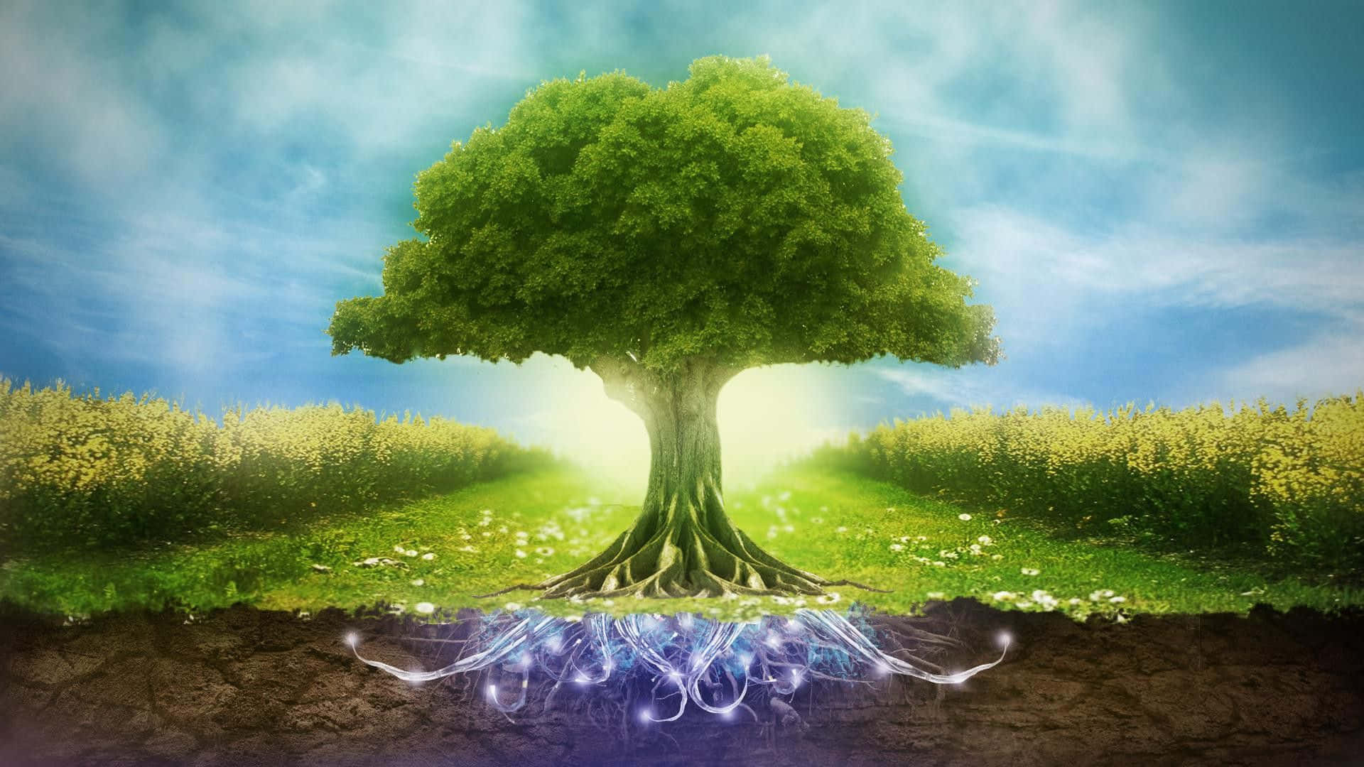 Verdens Miljødag Fantasi Træ med Glødende Rod. Wallpaper