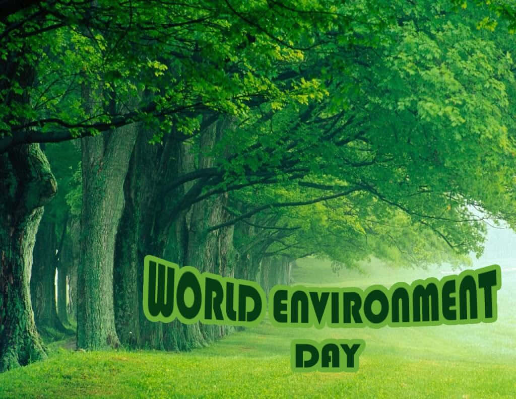 Download World Environment Day Green Forest Trees Wallpaper 