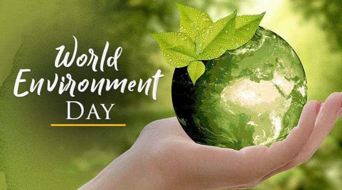 World Environment Day Green Water Planet On Hands Wallpaper