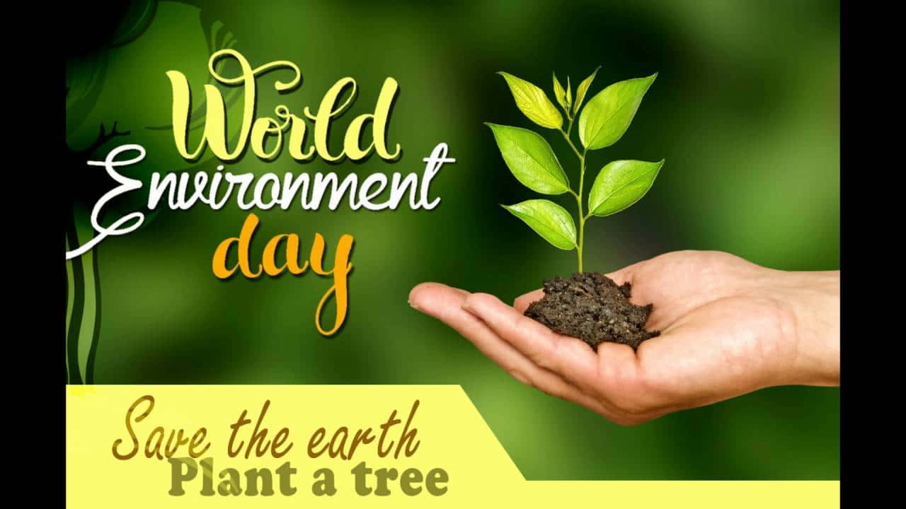 World Environment Day Plant A Tree Wallpaper