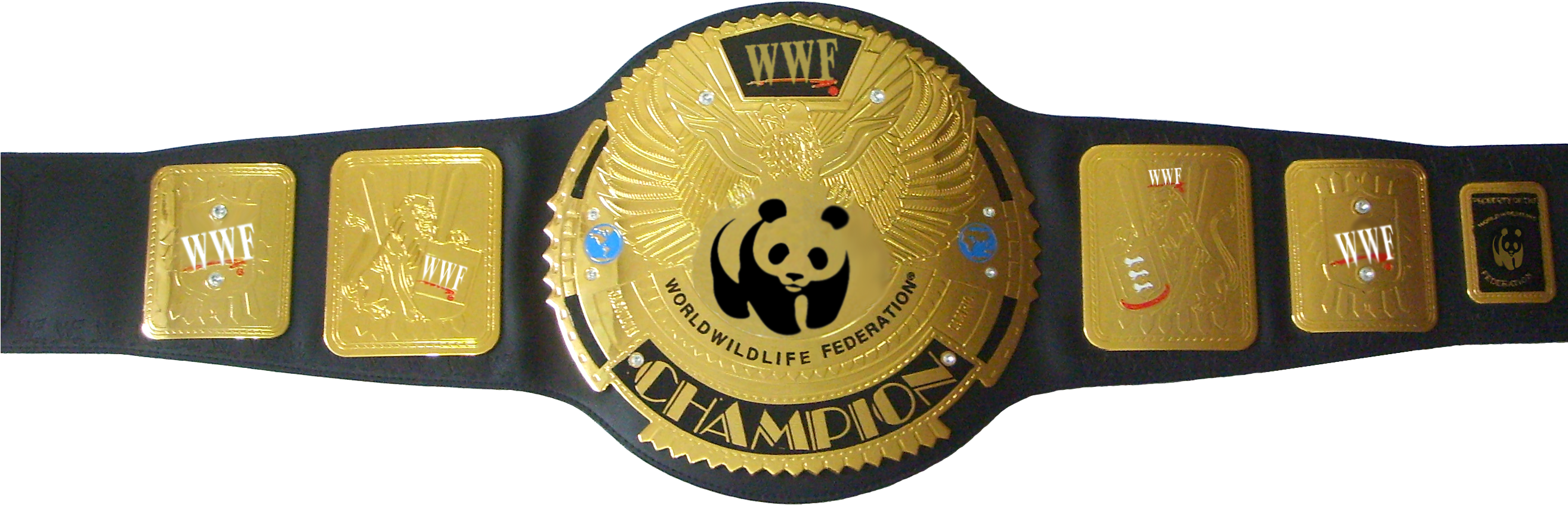 World Wildlife Federation Championship Belt PNG