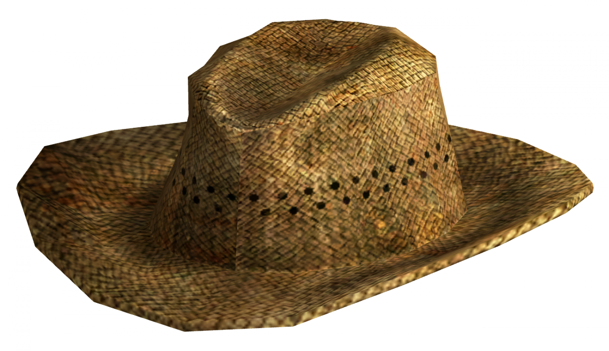Woven Straw Hat Isolated PNG