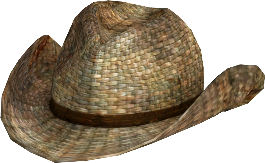 Woven Straw Hat3 D Render.png PNG