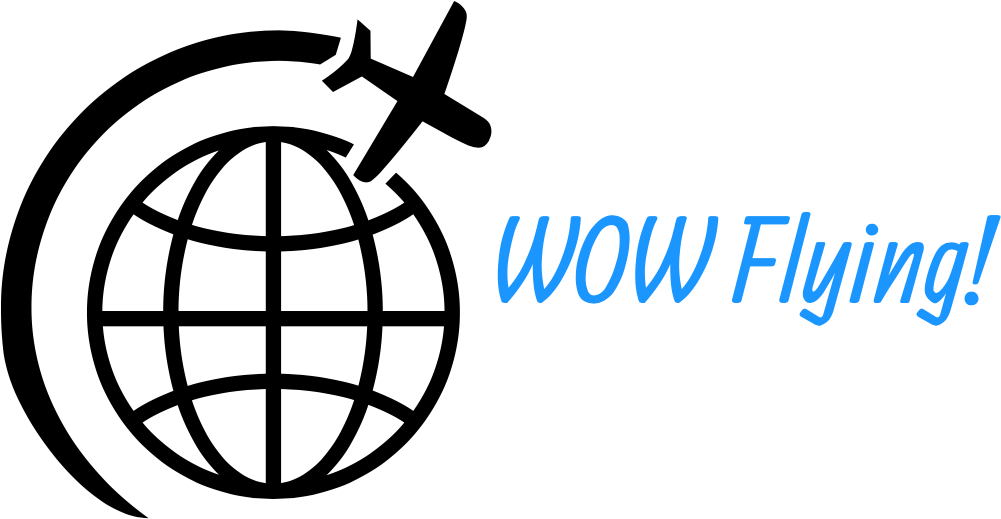 Wow Flying Logo PNG