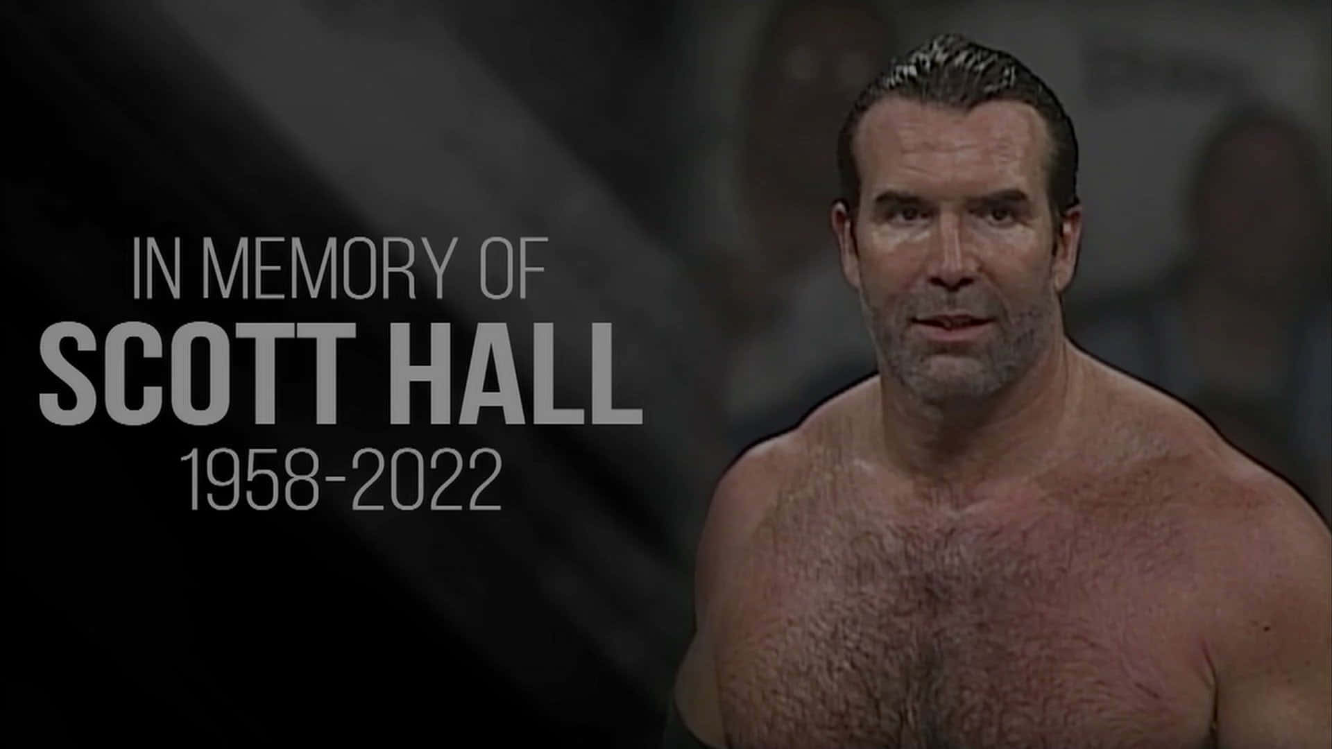 Wrestler Scott Hall Tribute Wallpaper