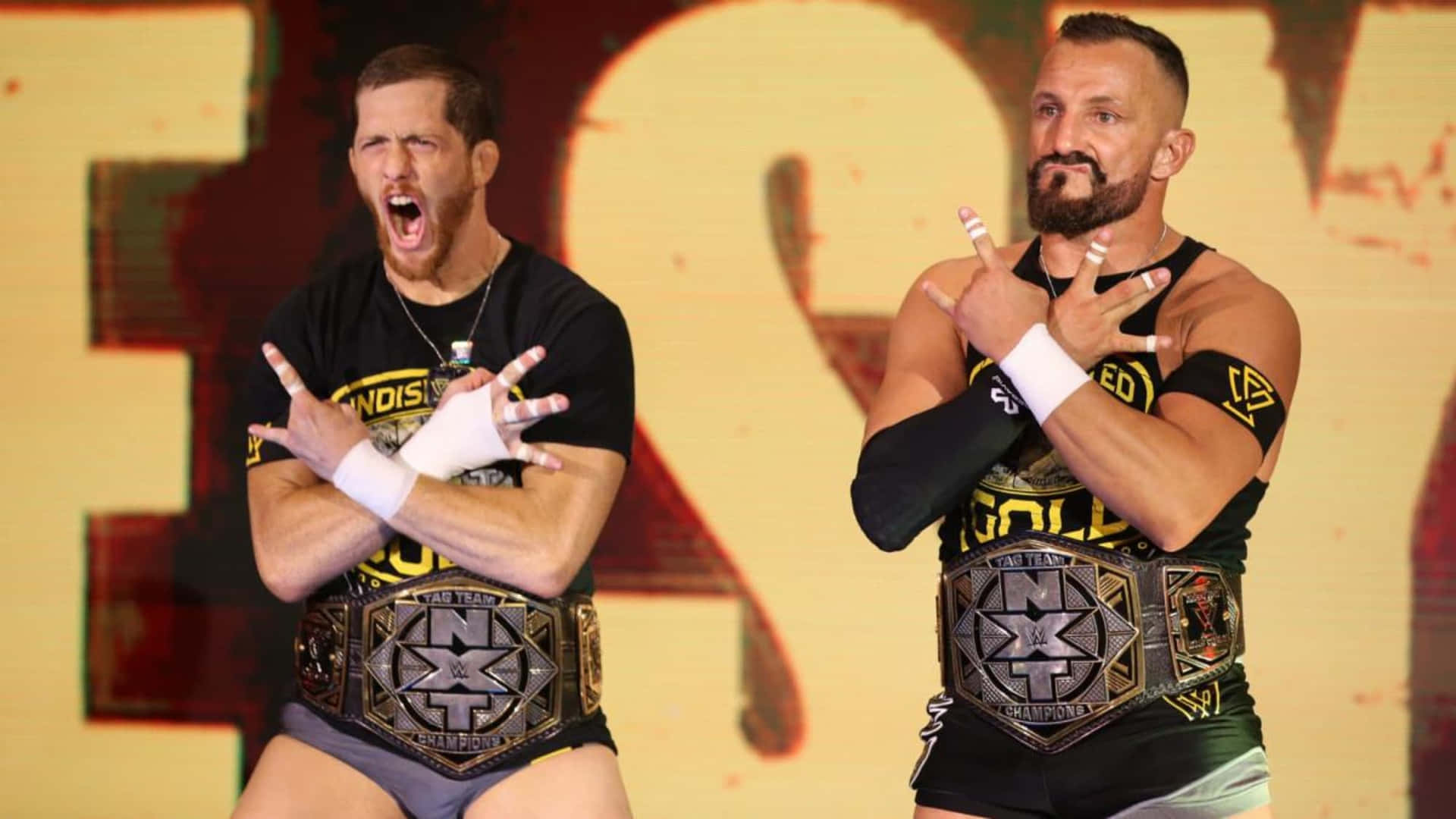 Wrestlers Bobby Fish And Kyle O'Reilly Wallpaper