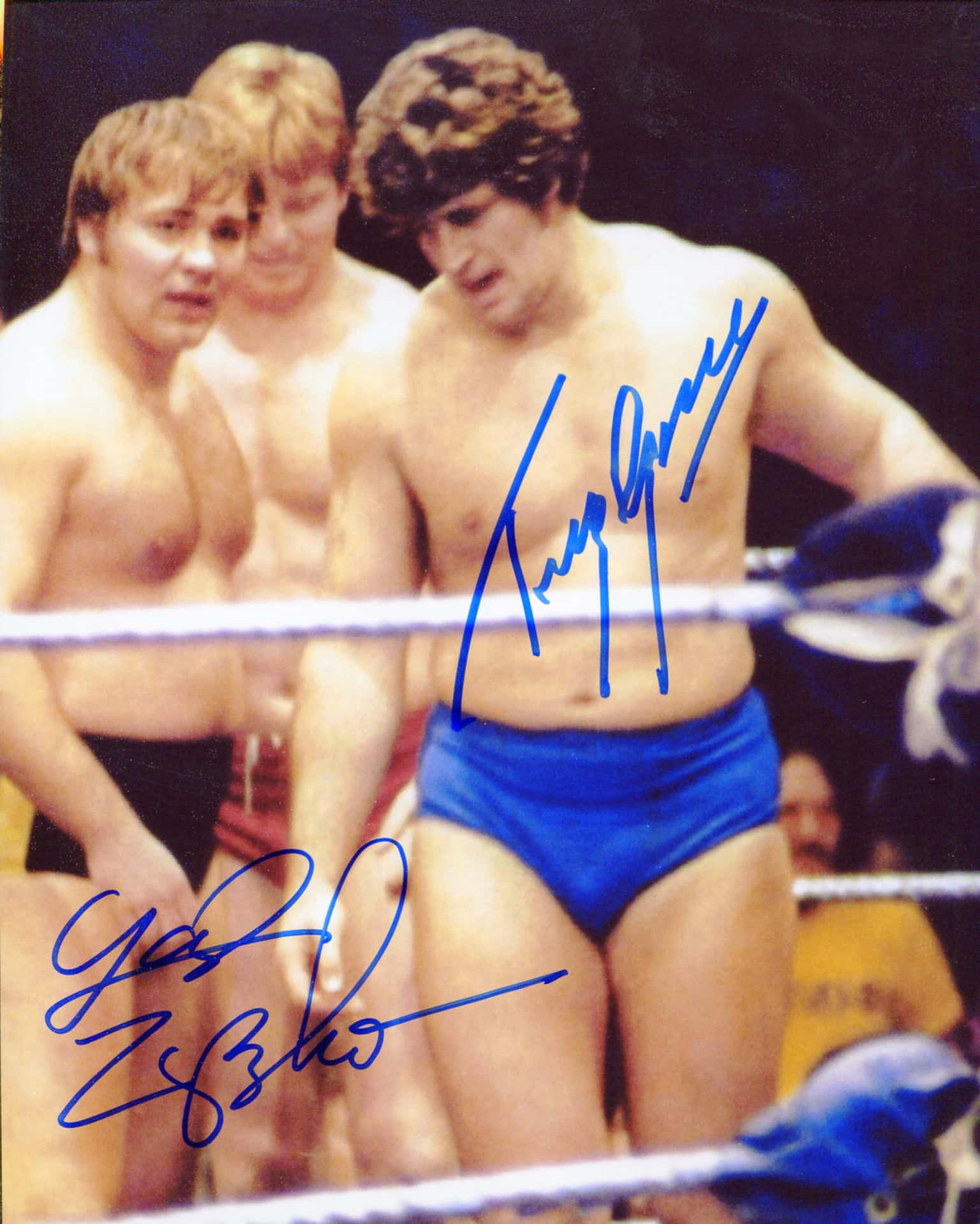 Wrestlere Larry Zbyszko og Tony Garea Autografi Tapet Wallpaper