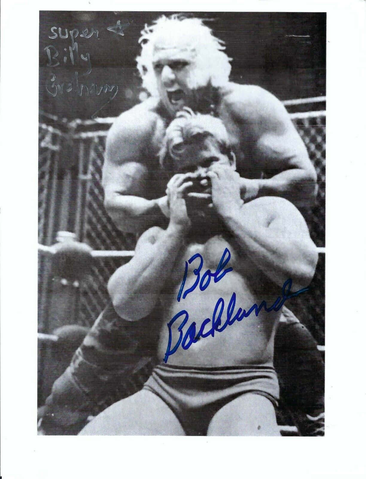 Wrestlers Superstar Billy Graham And Bob Backlund Black And White Wallpaper