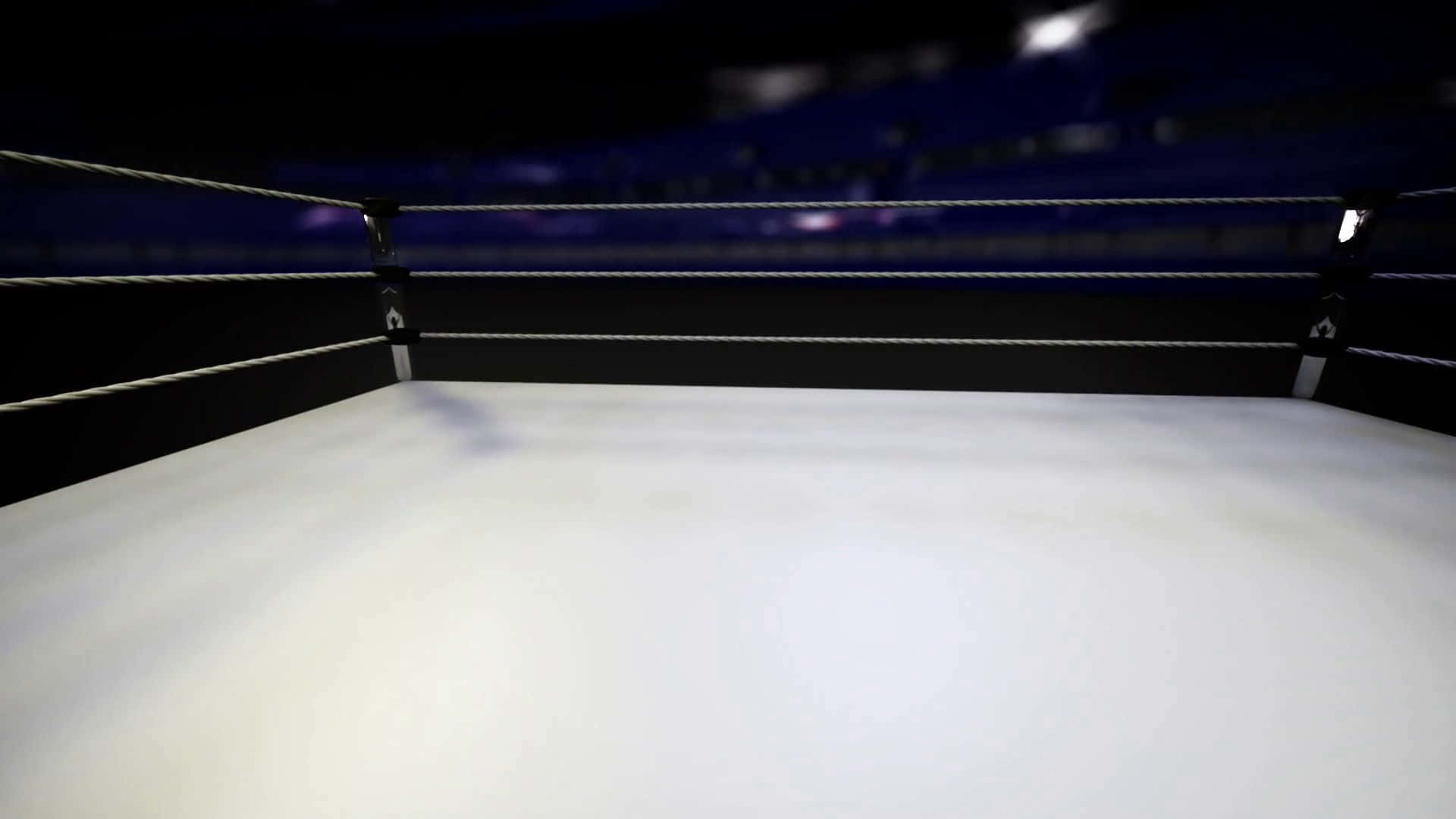 Wrestling Background