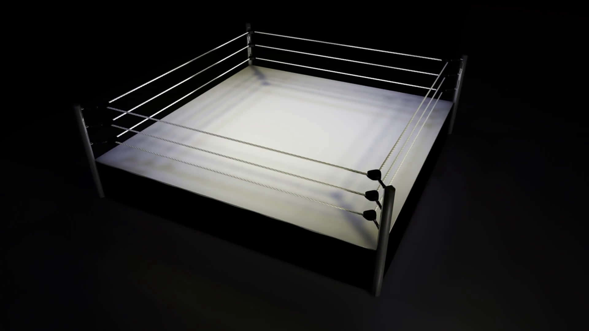 Spectacular View of a Wrestling Ring