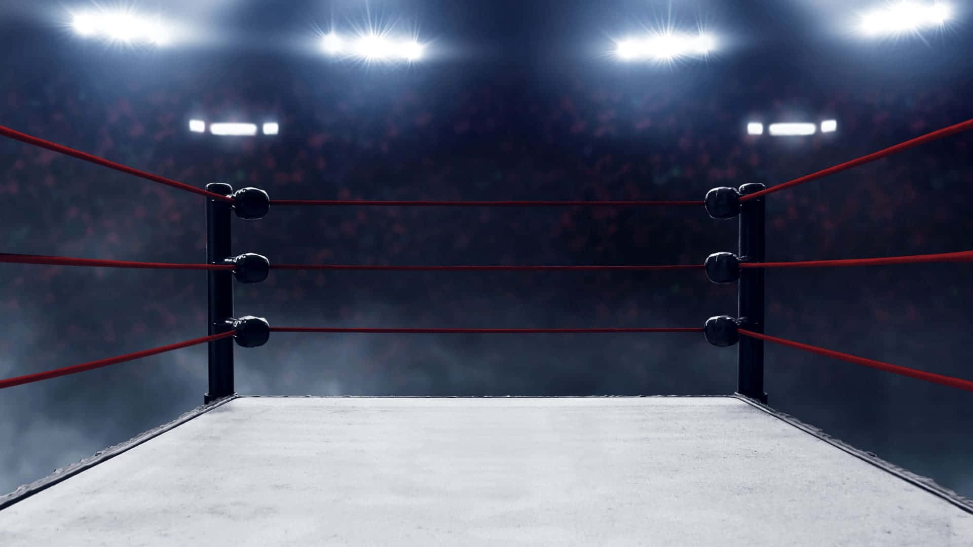 Image  A Professional Wrestling Ring Under the Spotlights