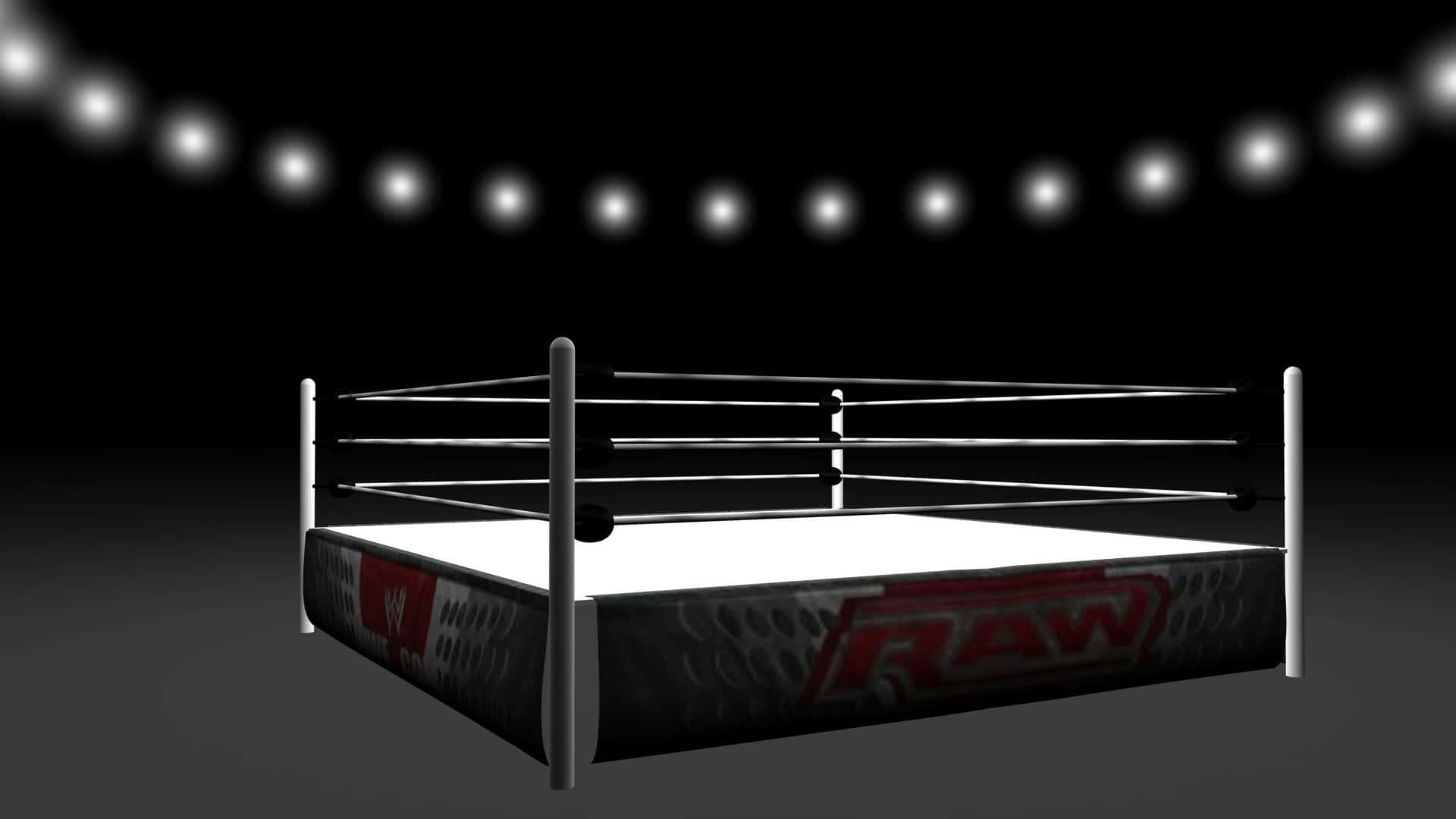 Get Ready for an Epic Match in the Wrestling Ring