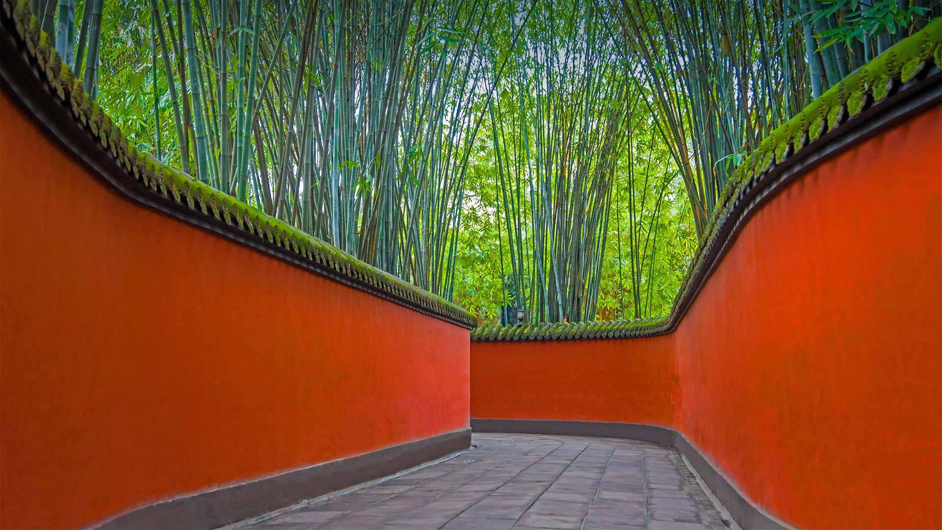 Den Wu-hou Tempel Chengdu-skov. Wallpaper
