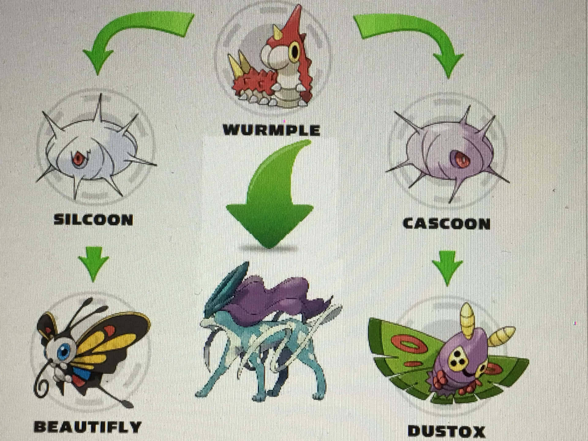 Caption: Wurmple Evolving into Silcoon - A Fascinating Pokémon Transformation Wallpaper