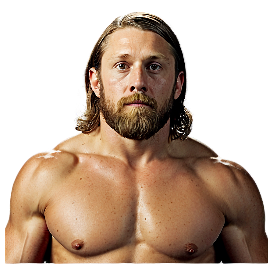 Wwe Daniel Bryan Png Fex PNG