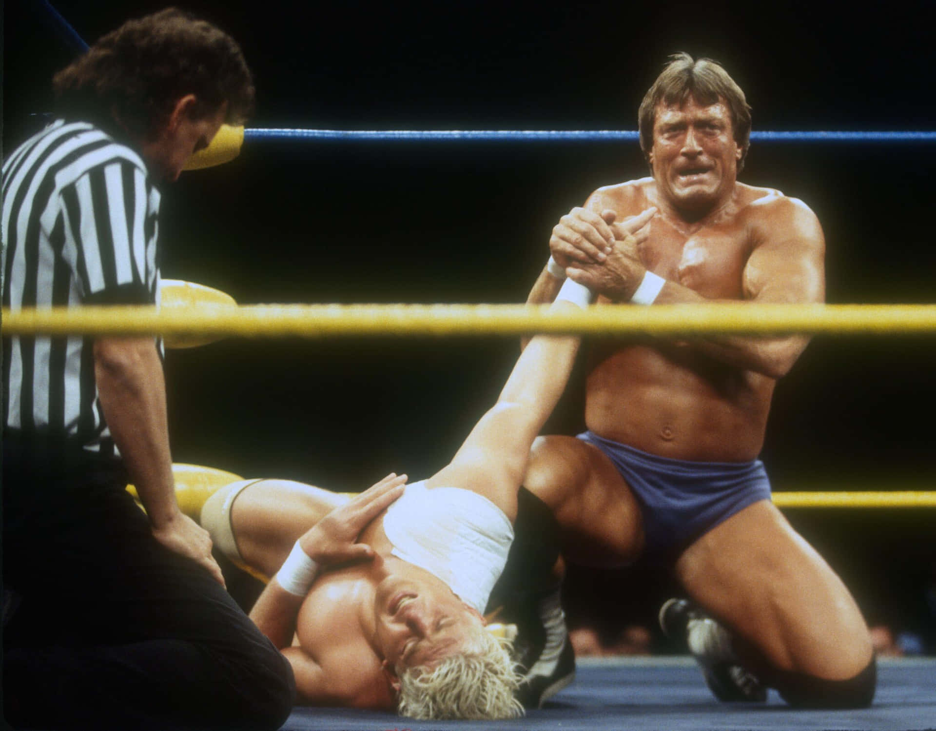 WWE Hall of Fame, memorable match between Paul Orndorff and Dustin Rhodes, 1995. Wallpaper