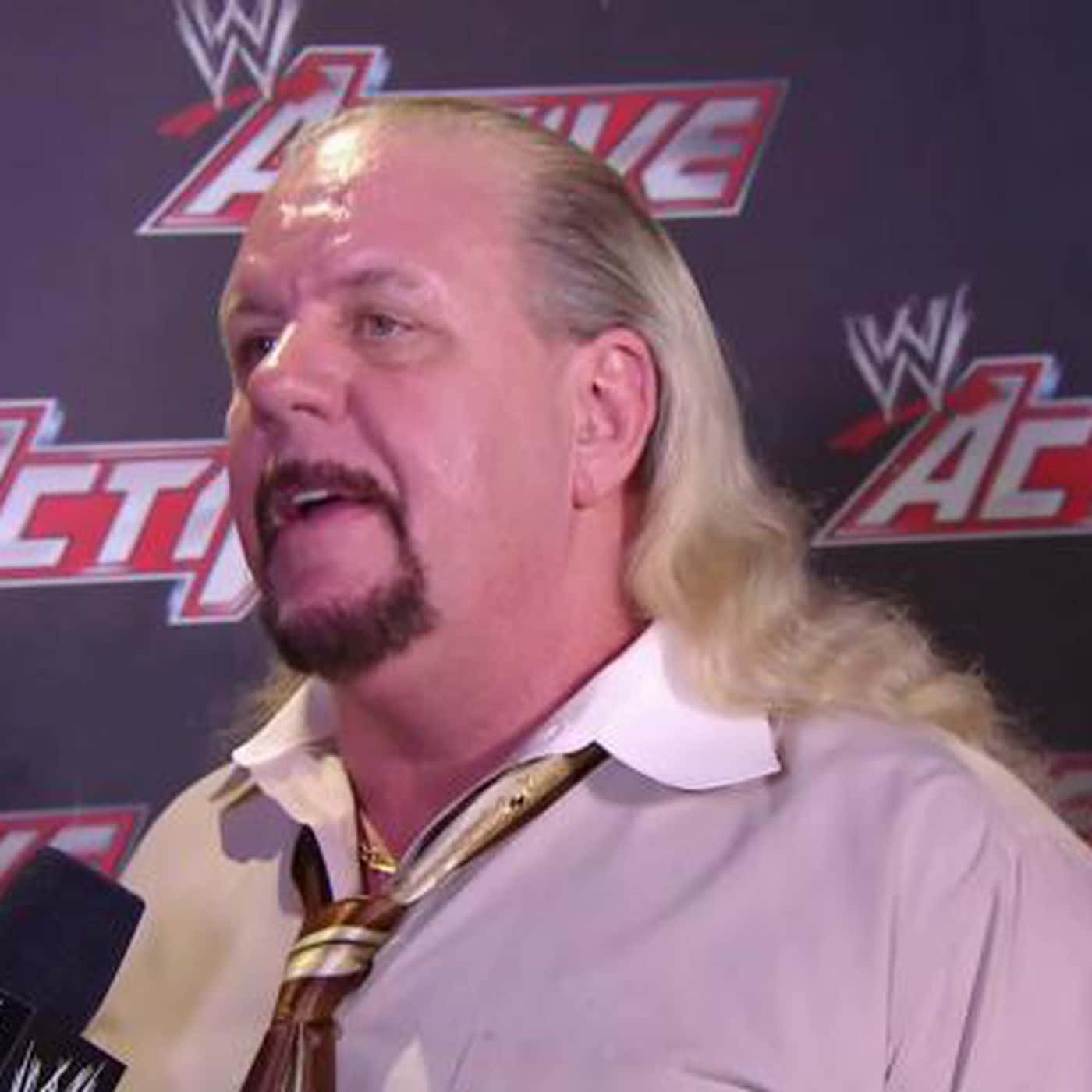 Wwe Michael Hayes In An Event Interview Wallpaper